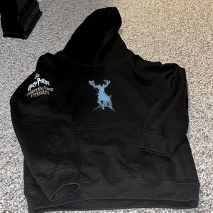 Harry Potter Forbidden Forest Experience Kids Sweatshirt- 9-11 years